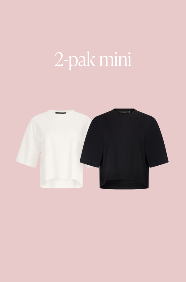 2-pak mini